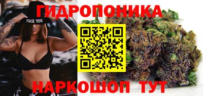стаф Славянск-на-Кубани