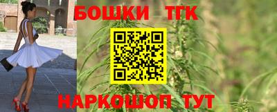 хмурый Сланцы