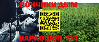 хмурый Сланцы