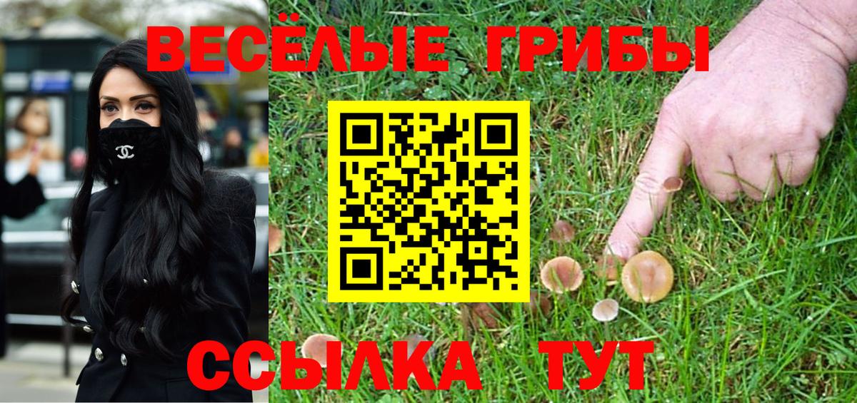 Псилоцибиновые грибы ЛСД Полысаево