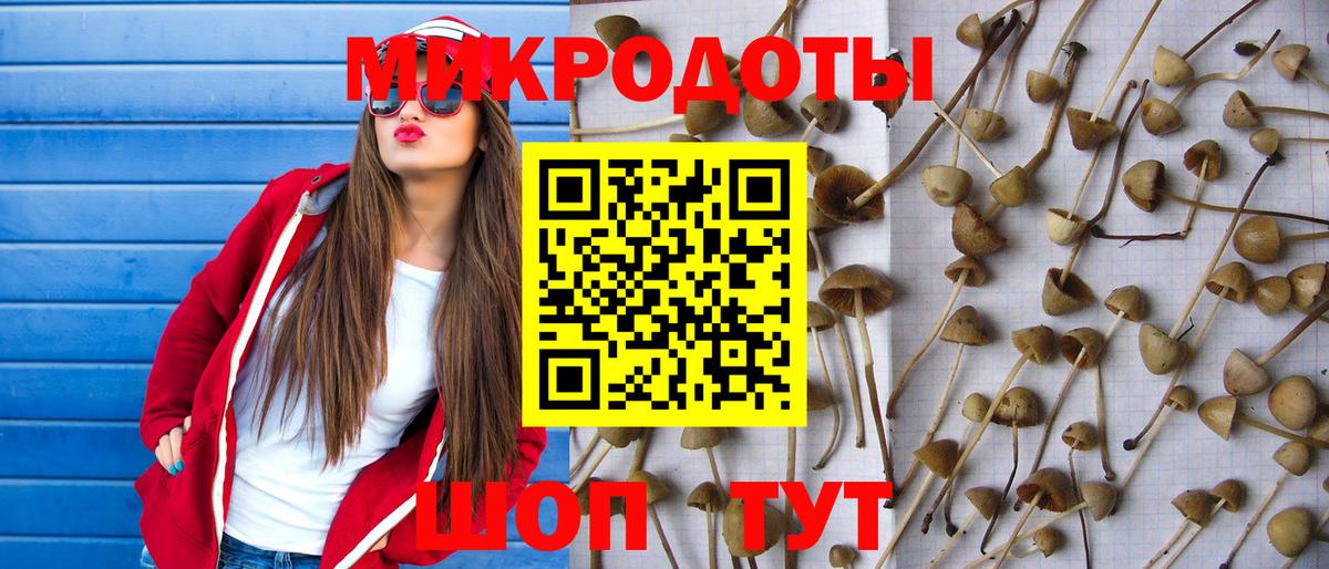 Псилоцибиновые грибы прущие грибы  Галлюциногенные грибы ЛСД  Полысаево  Вход с VPN 